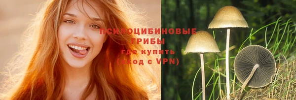 МДПВ Горнозаводск