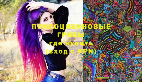 гидропоника Горняк