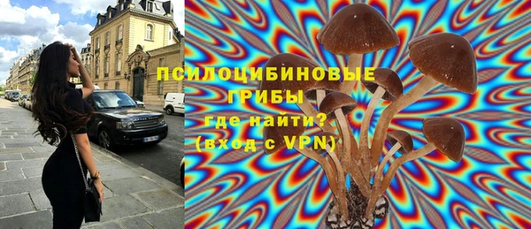меф Гусев