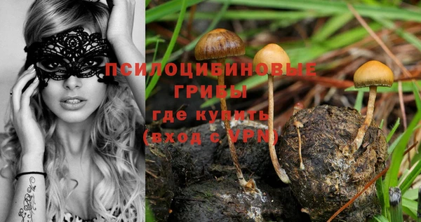 МДПВ Горнозаводск