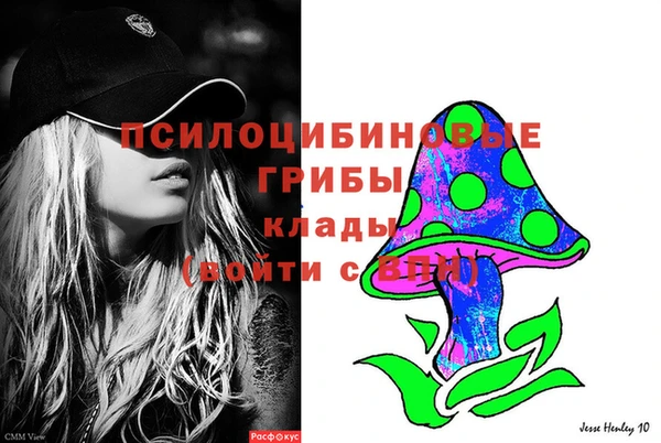 МДПВ Горнозаводск