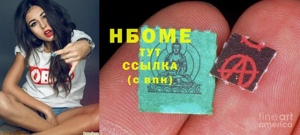 гидропоника Горняк